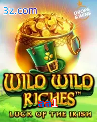 aa1 slot wild wild riches